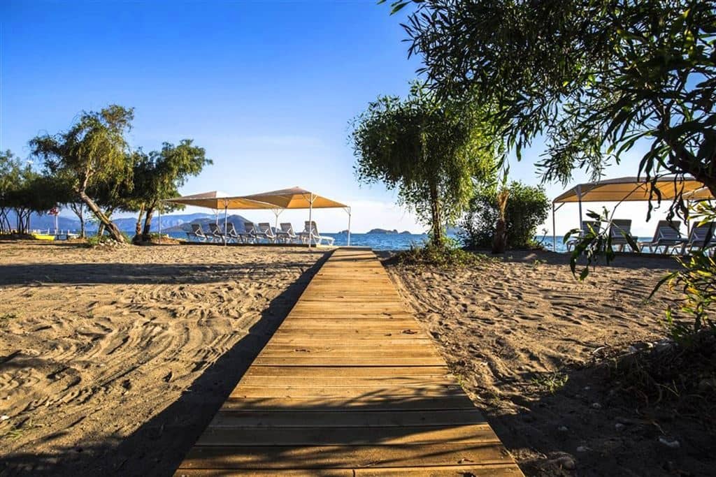 beach-beach