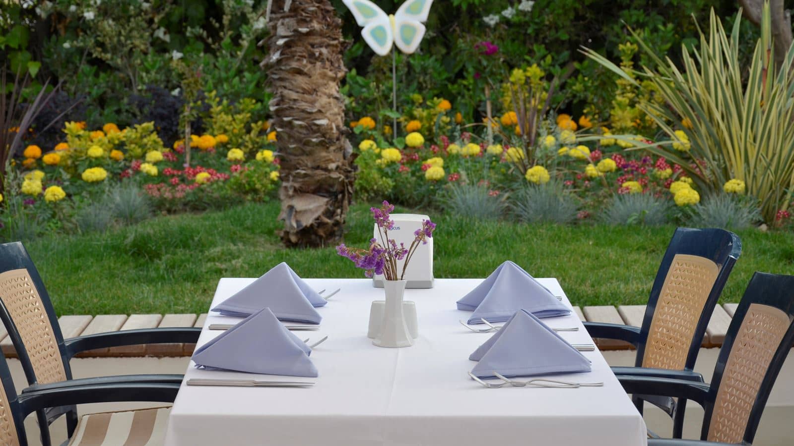 restaurants-telya-restaurant--grill