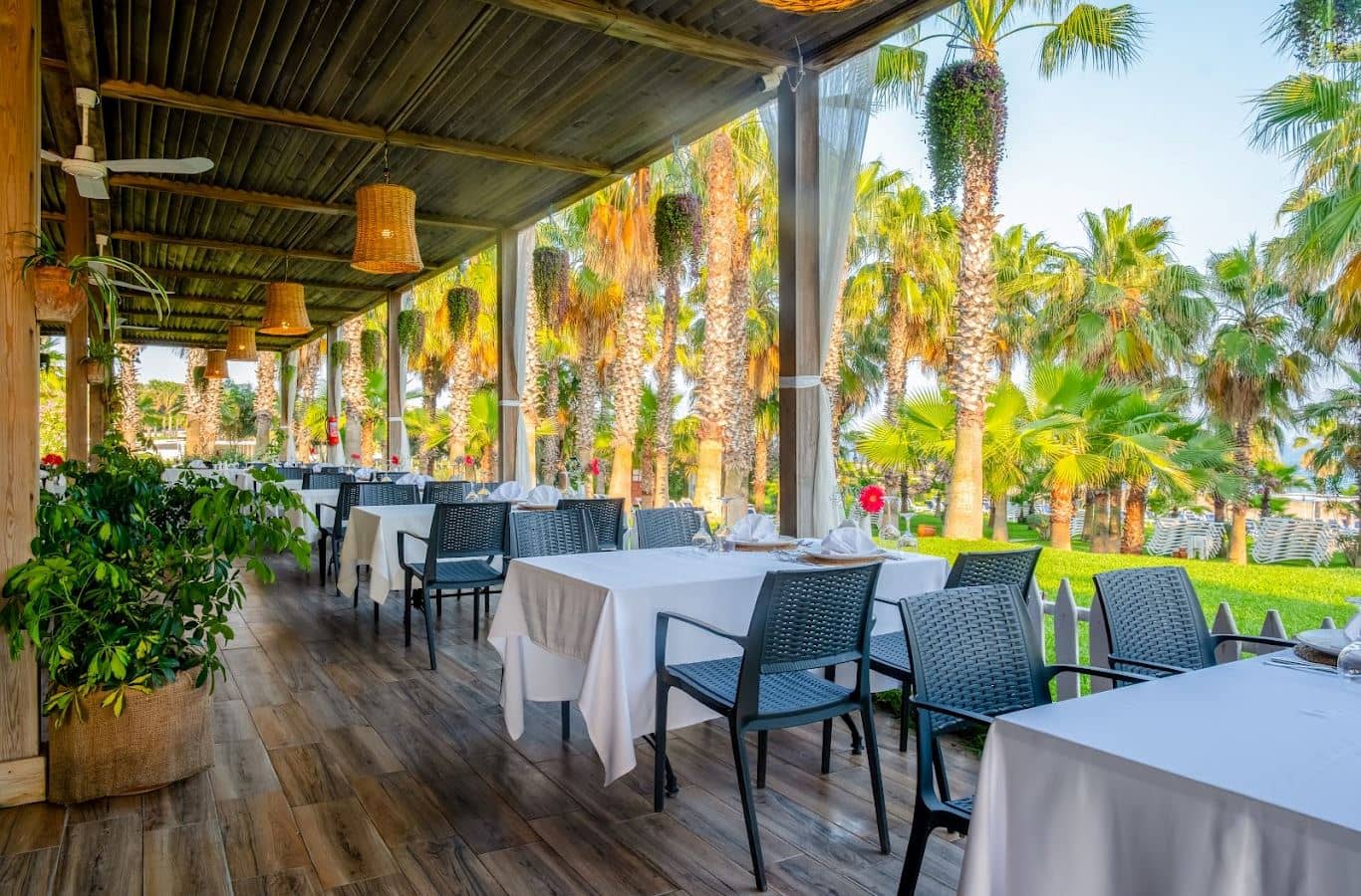 restaurants-restaurants