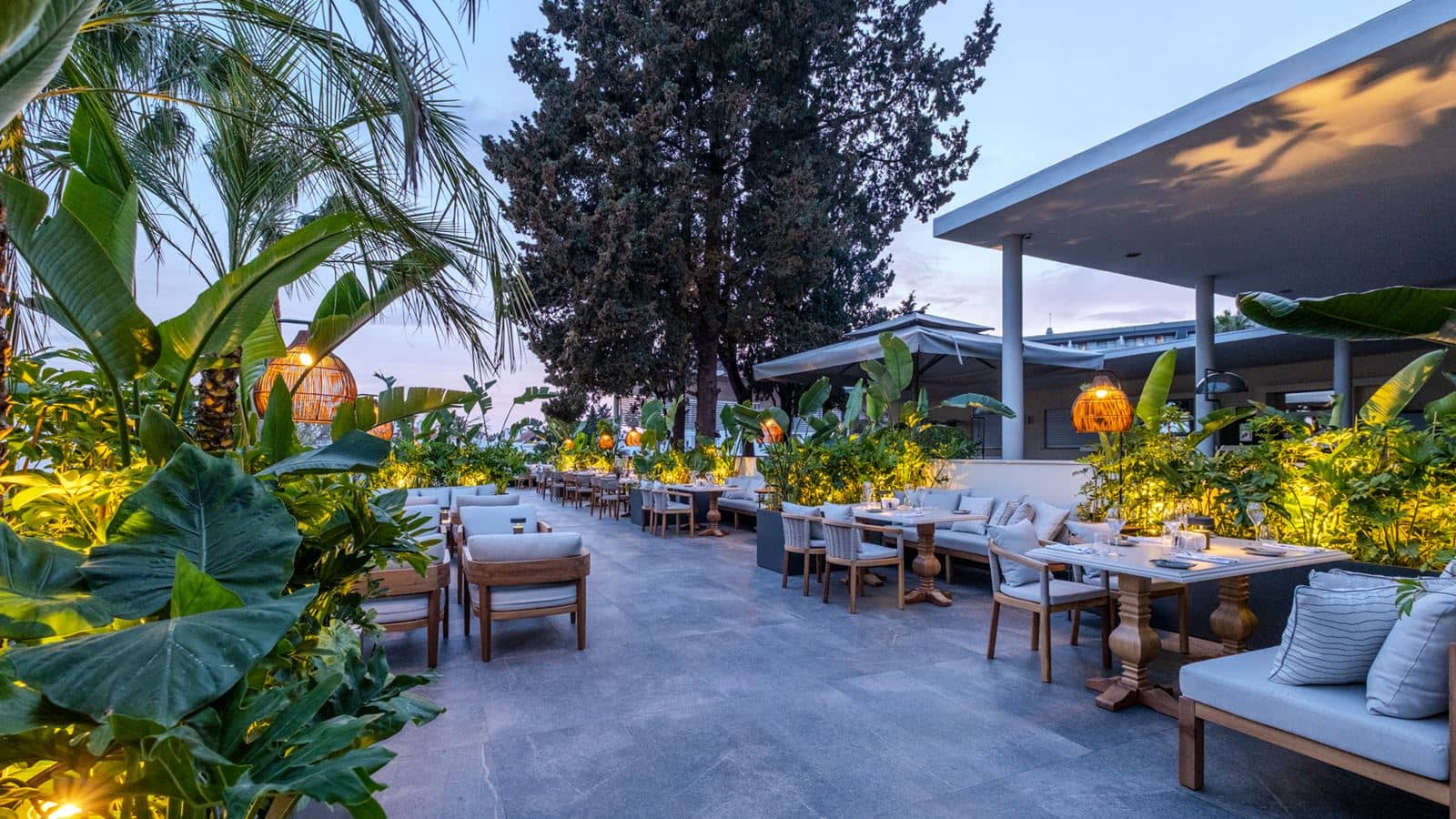 restaurants-olive-italian-a-la-carte-restaurant