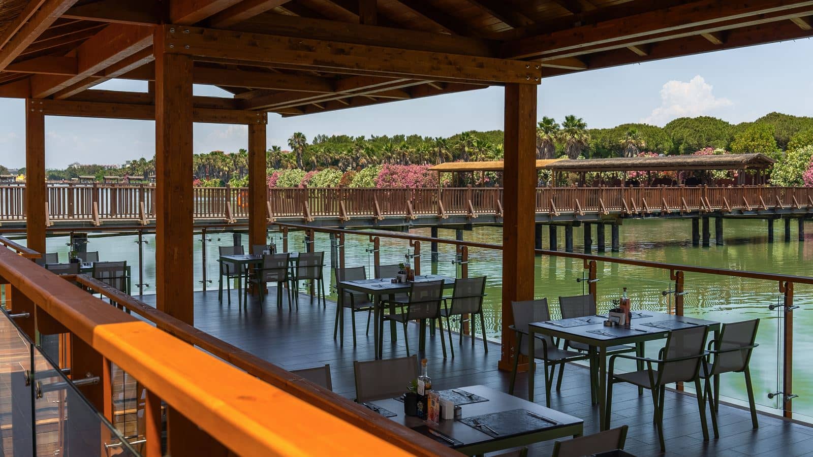 bars-galeon-bar