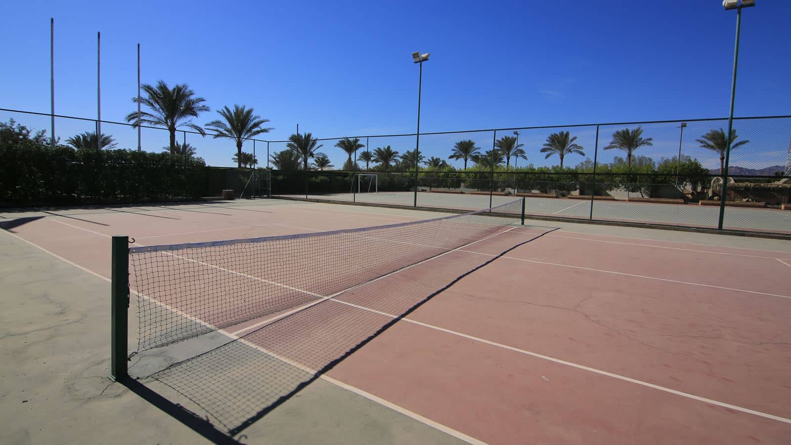 sport-sport