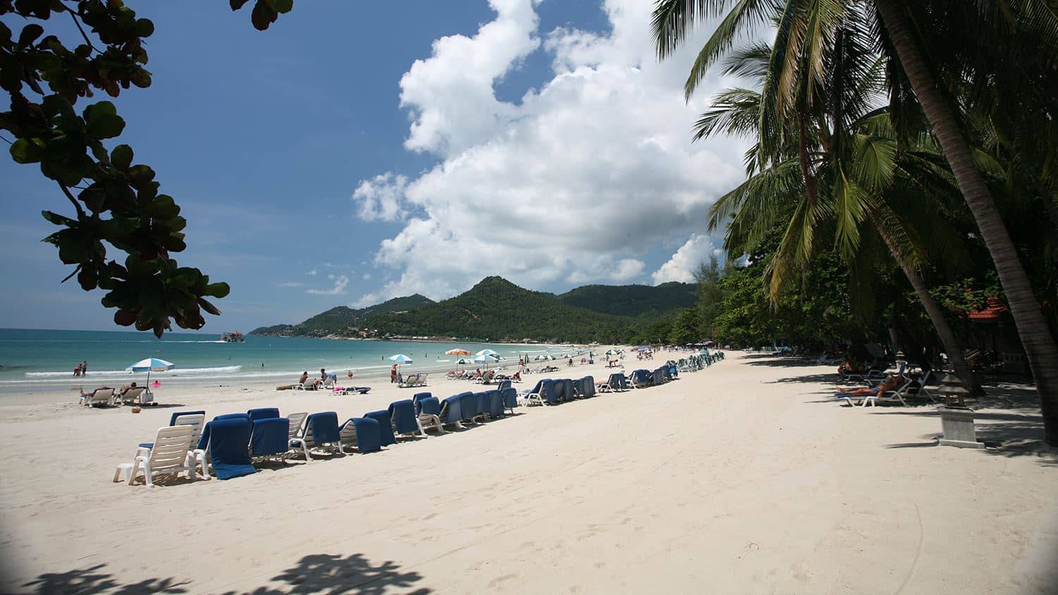 beach-beach