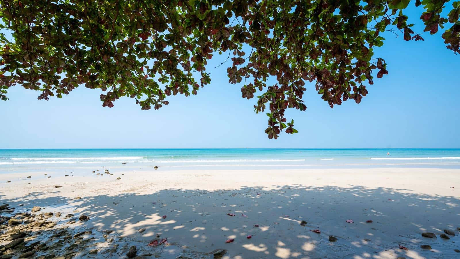 beach-beach
