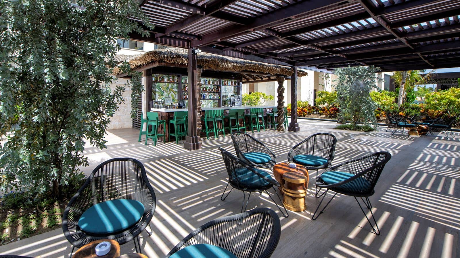 bars-timon-bar
