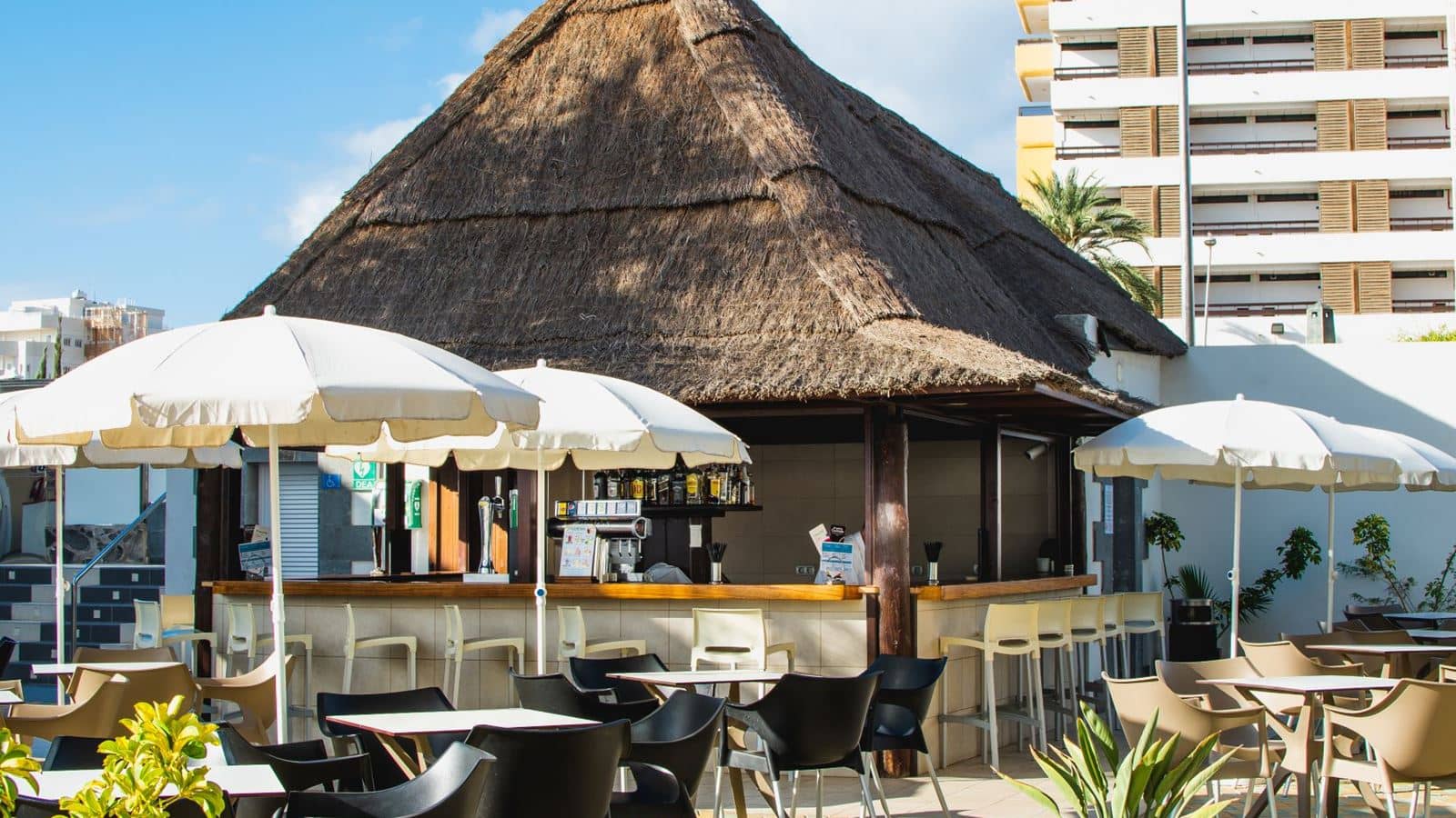 bars-bar-piscina