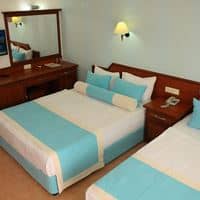 Toad preview