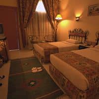 Toad preview