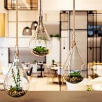 Restoranid preview