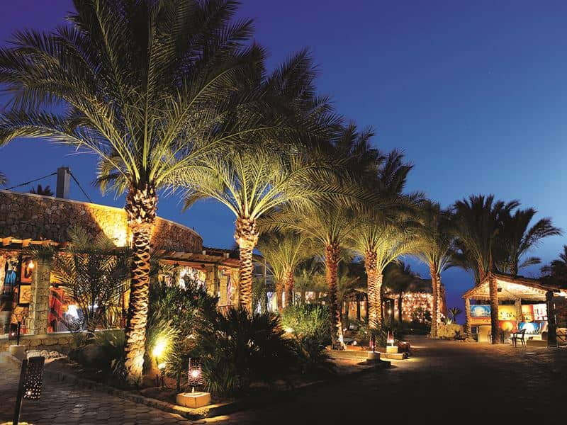 REEF OASIS BEACH RESORT - Üldist