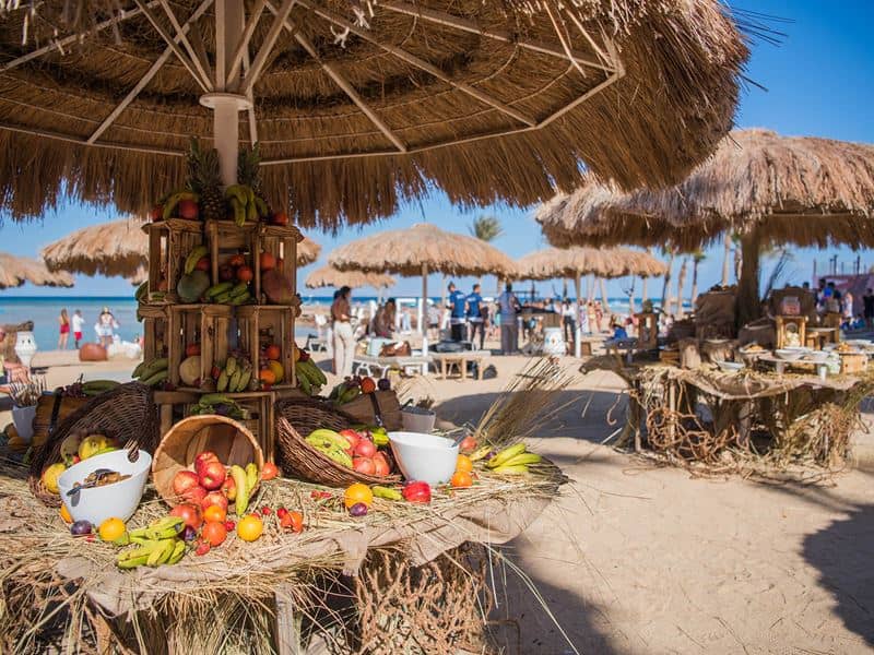 MERAKI RESORT - Üldist