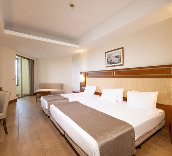 Standart Room Pool View Toad