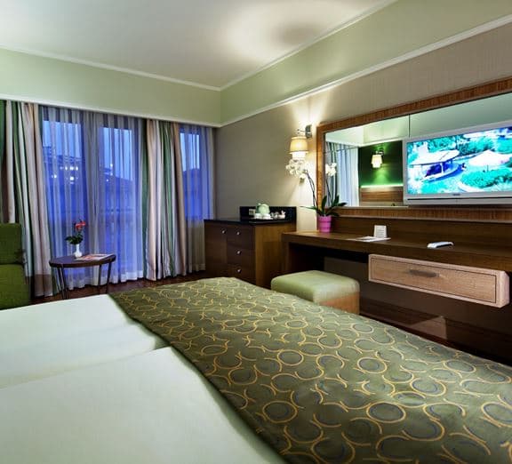 STANDART ROOM LAND VIEW Toad