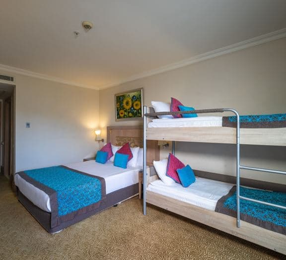 STANDARD ROOM LAND VIEW WITH BUNKBED Toad