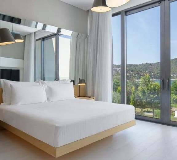 King Deluxe Room with Partial Sea View Toad