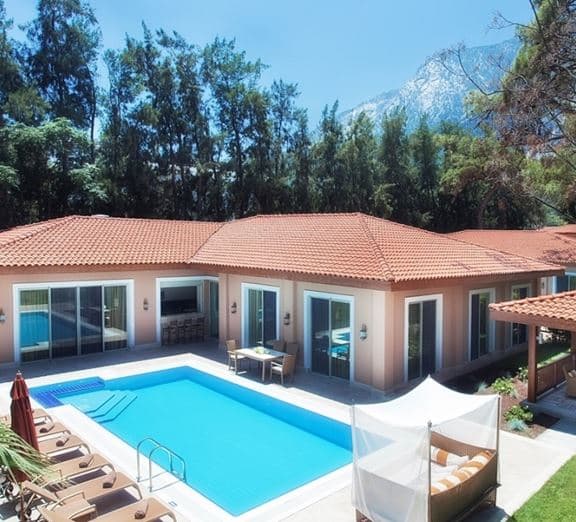 VILLA SAPHIRE Toad