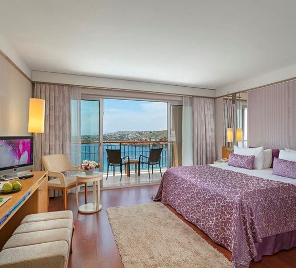 Deluxe Room Sea View Balcony Toad