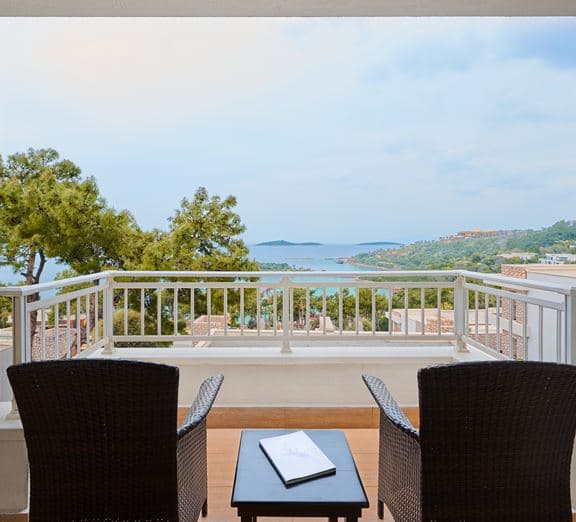 PREMIUM ROOM SEA VIEW Toad