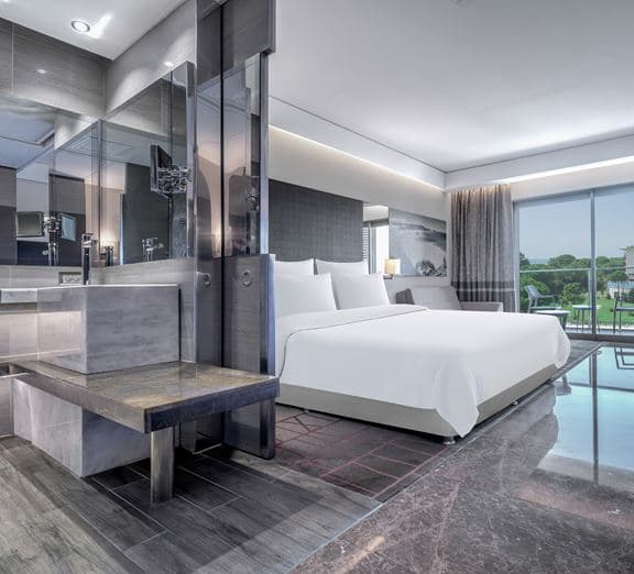 Deluxe Room Sea View Toad