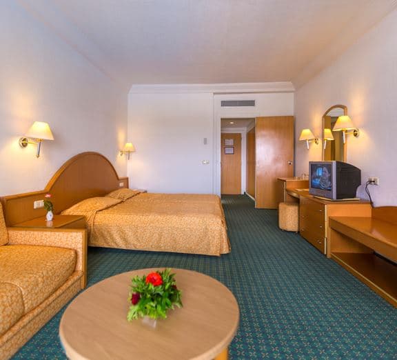 Room Standard with balcony or terrace Toad