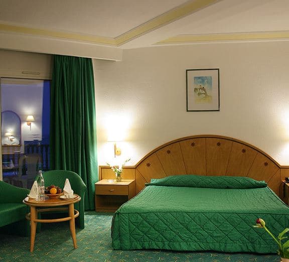 Room Standard SeaView with balcony or terrace Toad