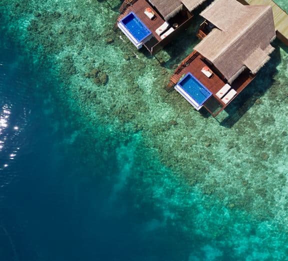 Reef Pool Water Villa Toad
