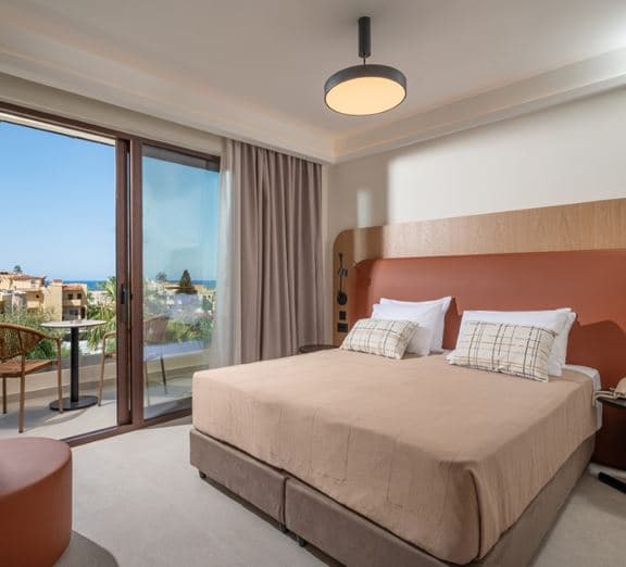 Room Double Balcony or Terrace Toad