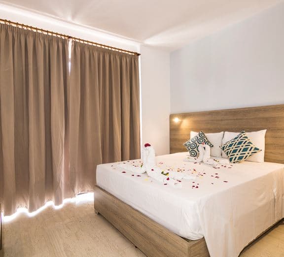 Room Double Balcony or Terrace Toad