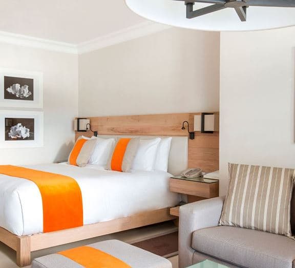 BEACH VIEW JUNIOR SUITE Toad