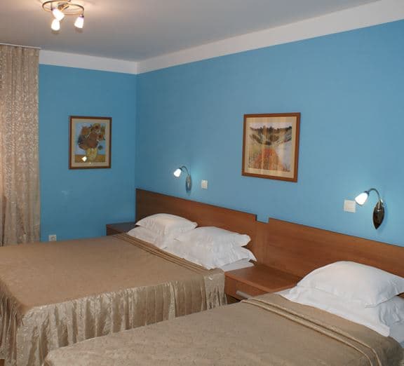 STANDARD TWIN ROOM Toad