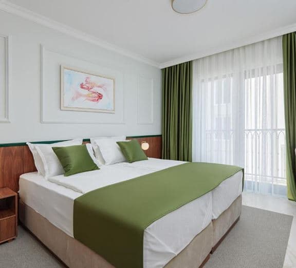 STANDARD DOUBLE ROOM WITH EXTRABED Toad