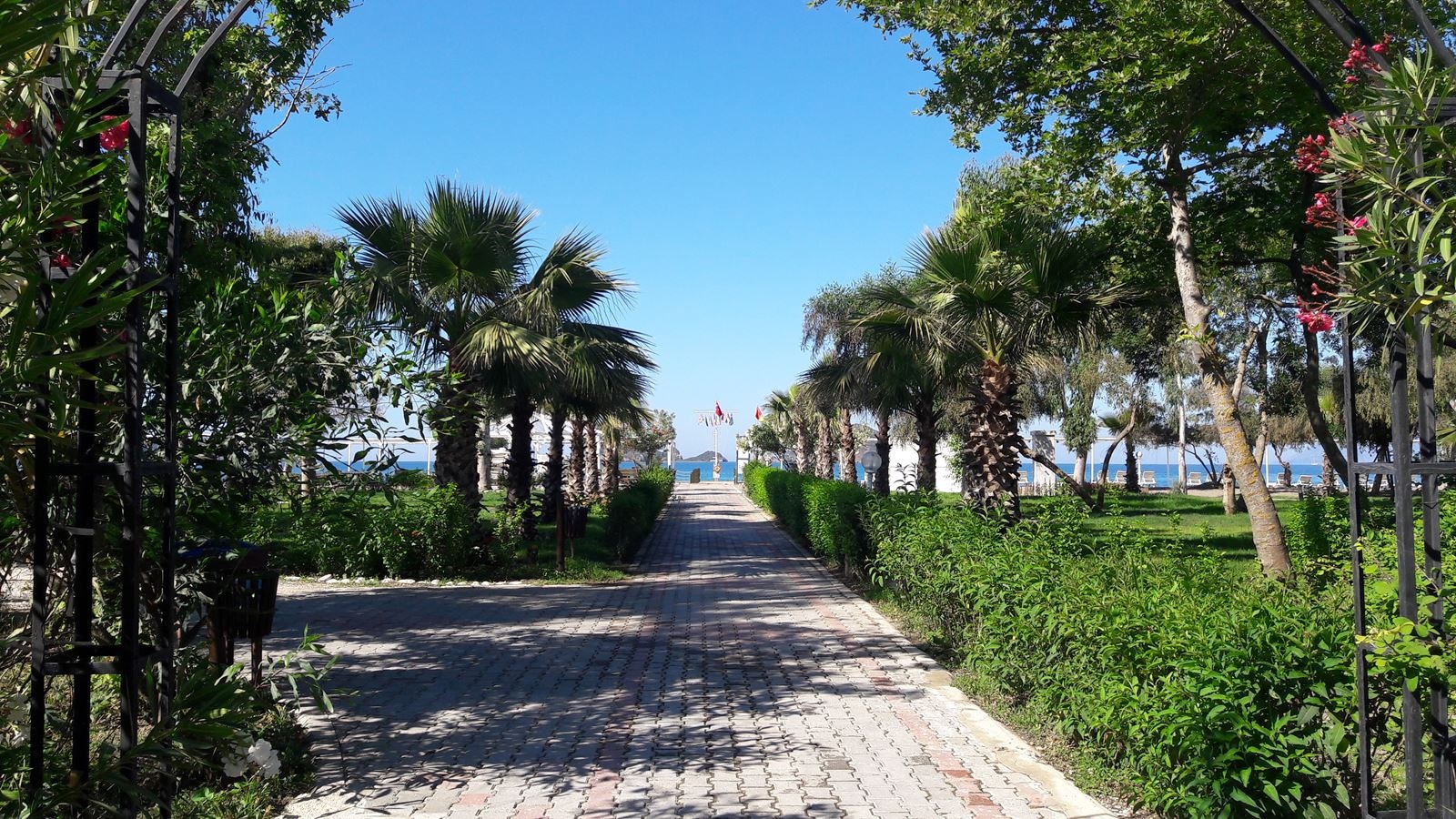 beach-beach