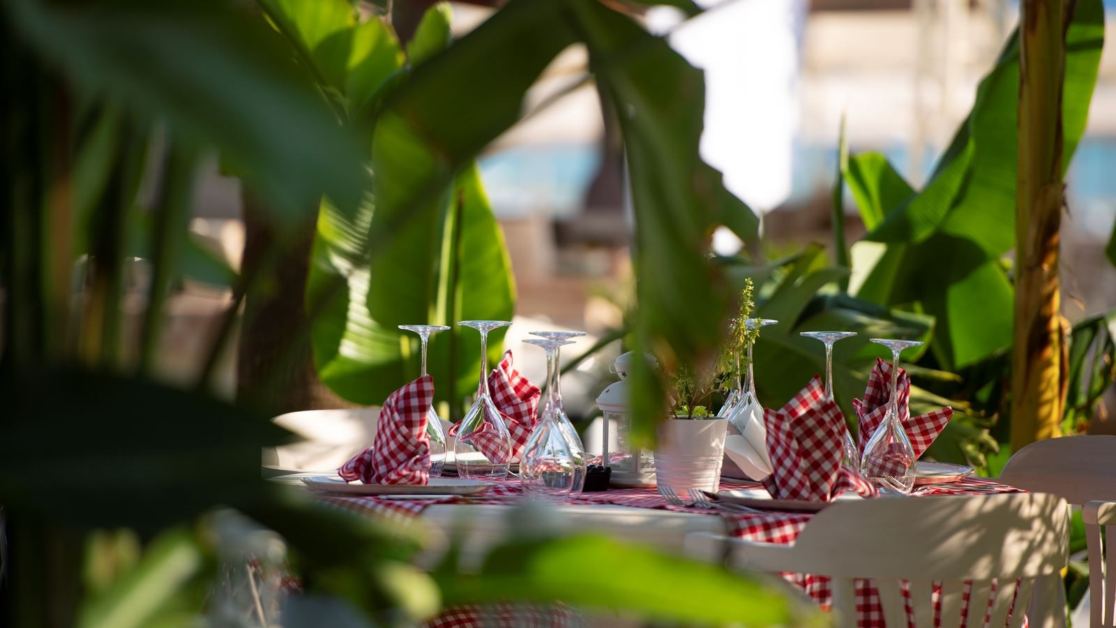 restaurants-olive
