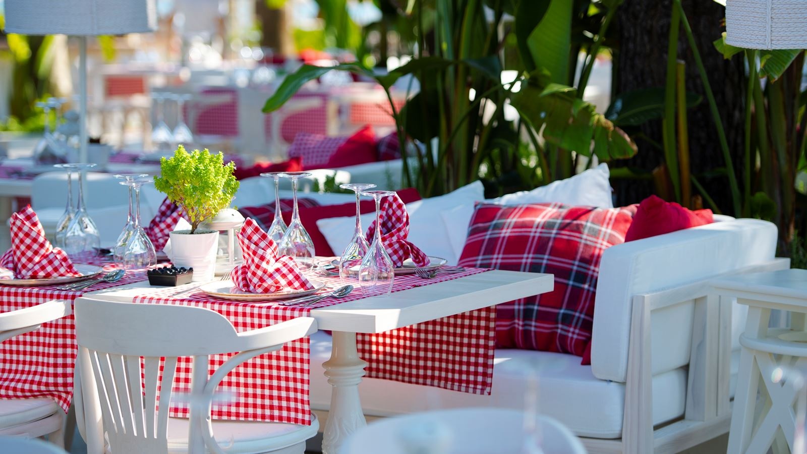 restaurants-olive