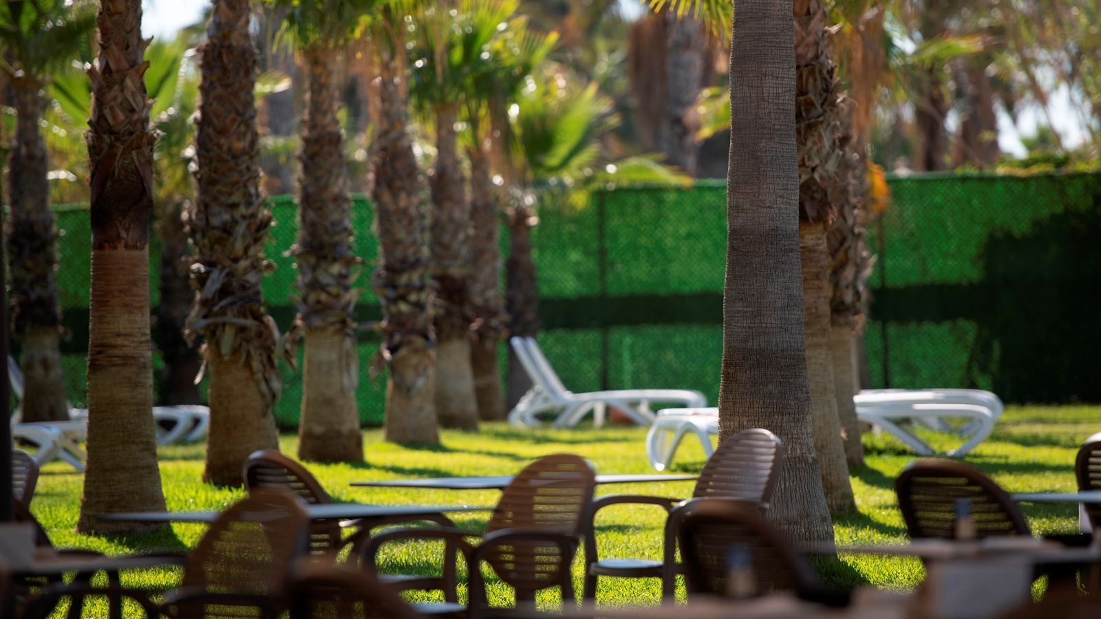 bars-kumm-beach-bar