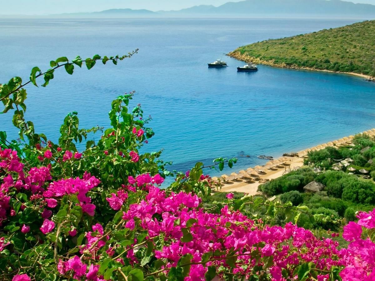 beach-beach