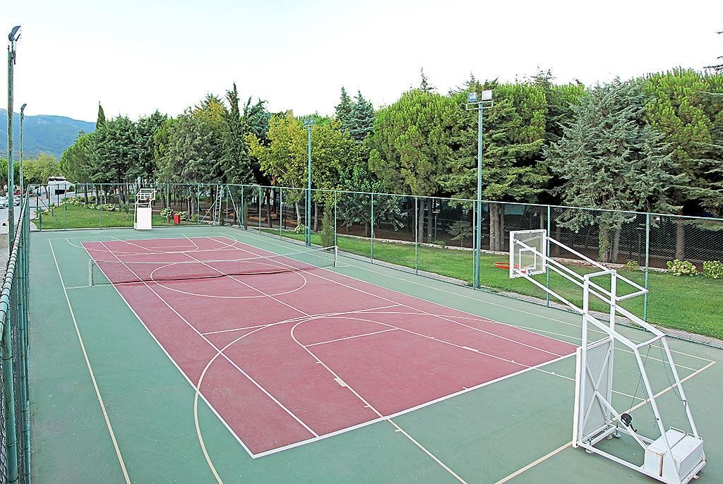 sport-sport
