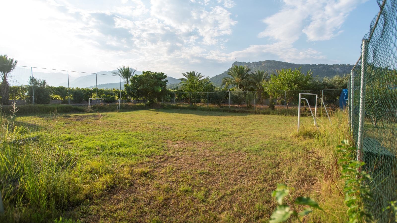 sport-main-building