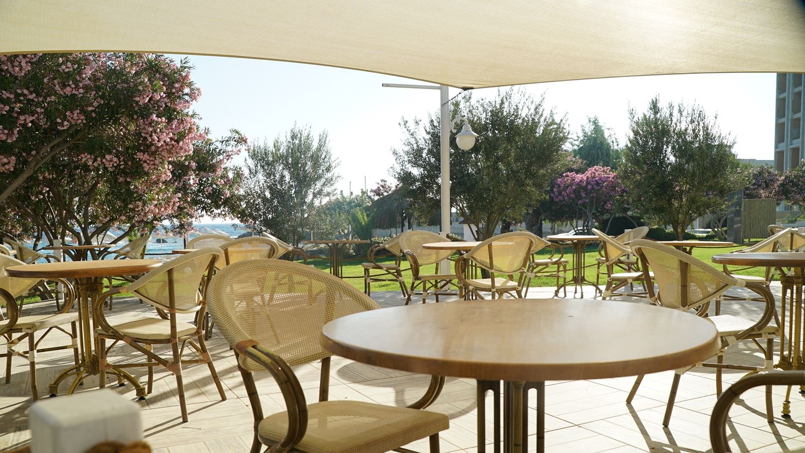 bars-sunset-pool-bar