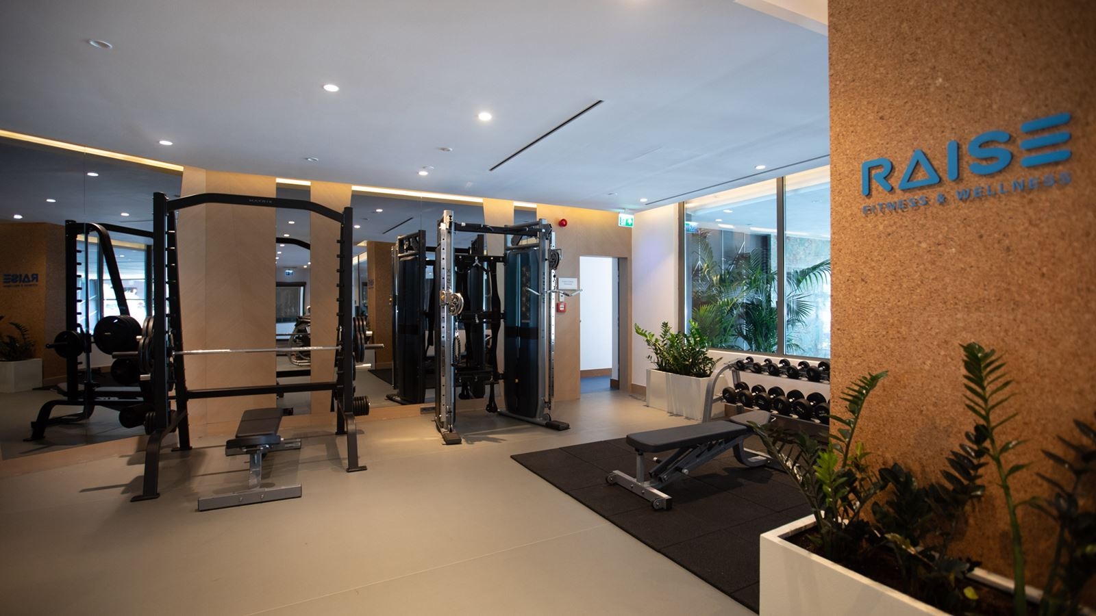 sport-sport