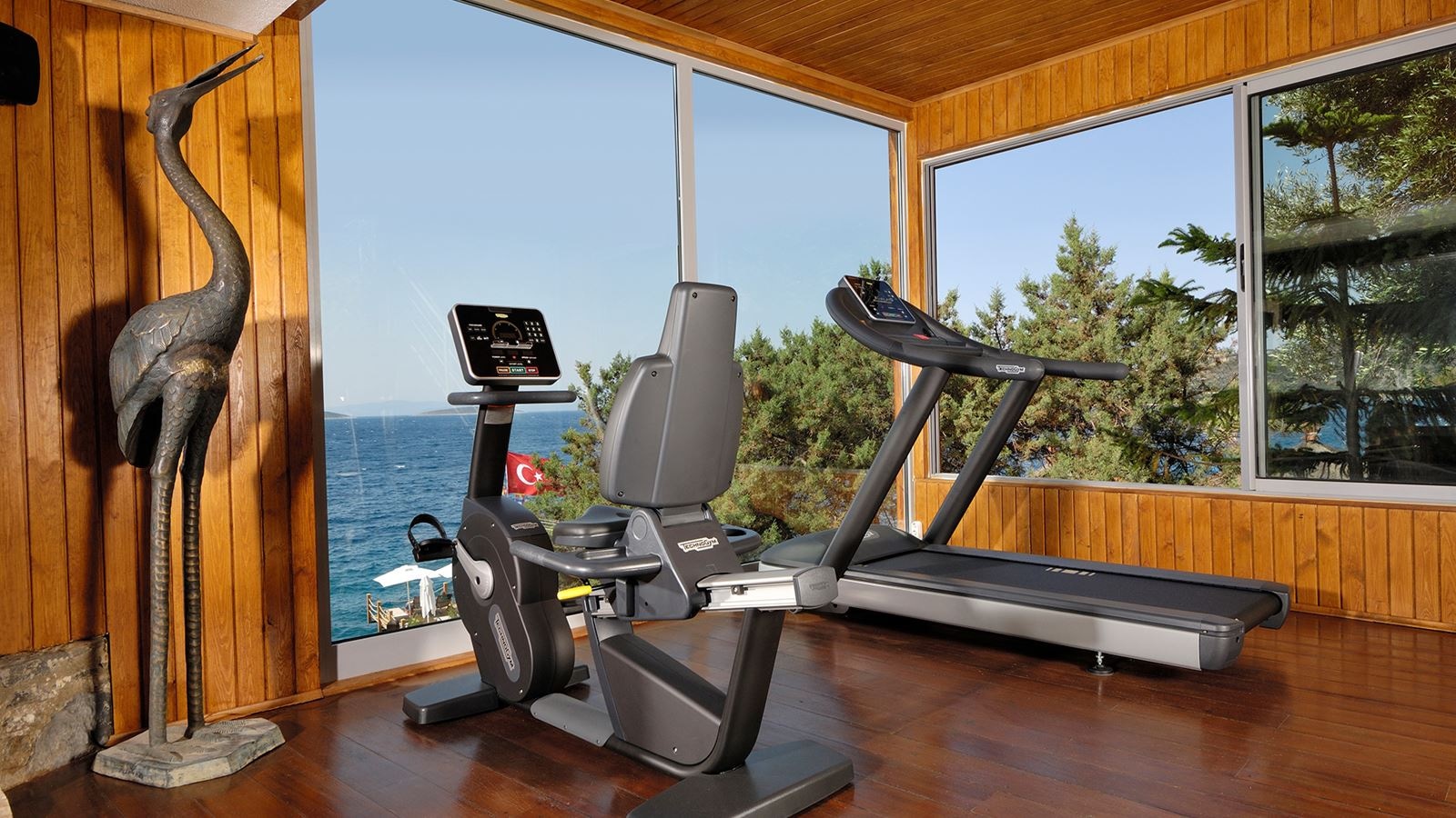 sport-sport