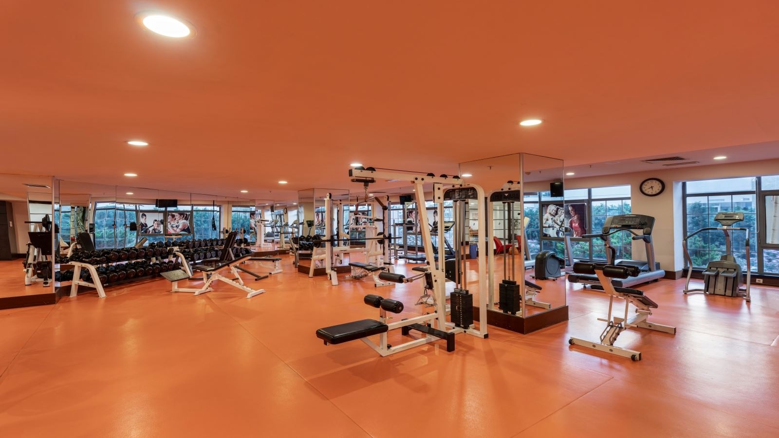 sport-sport