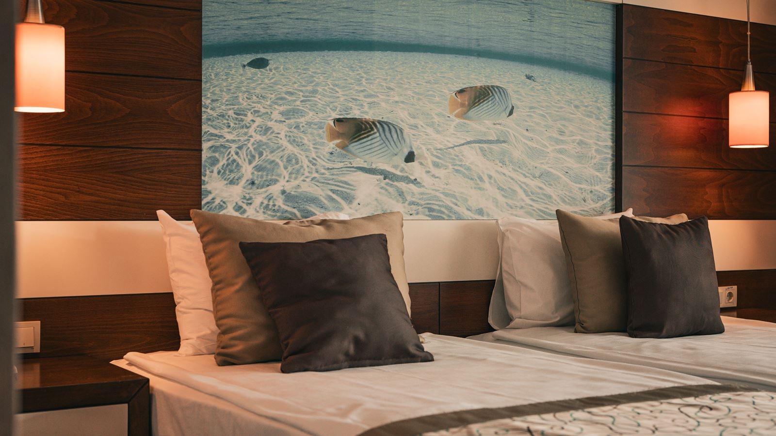 rooms-standart-room