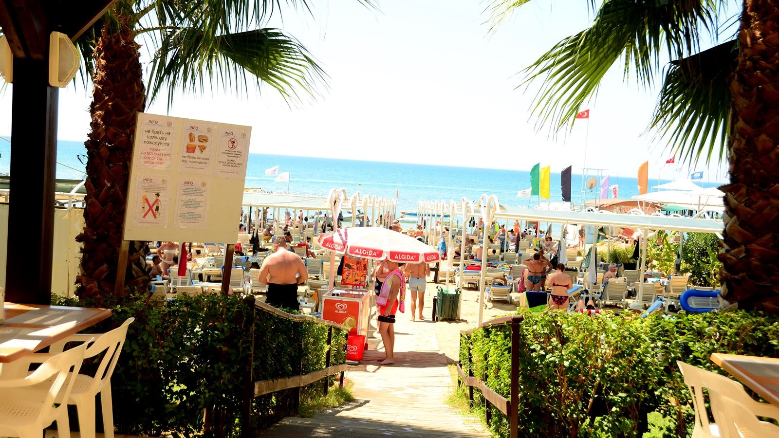 beach-beach