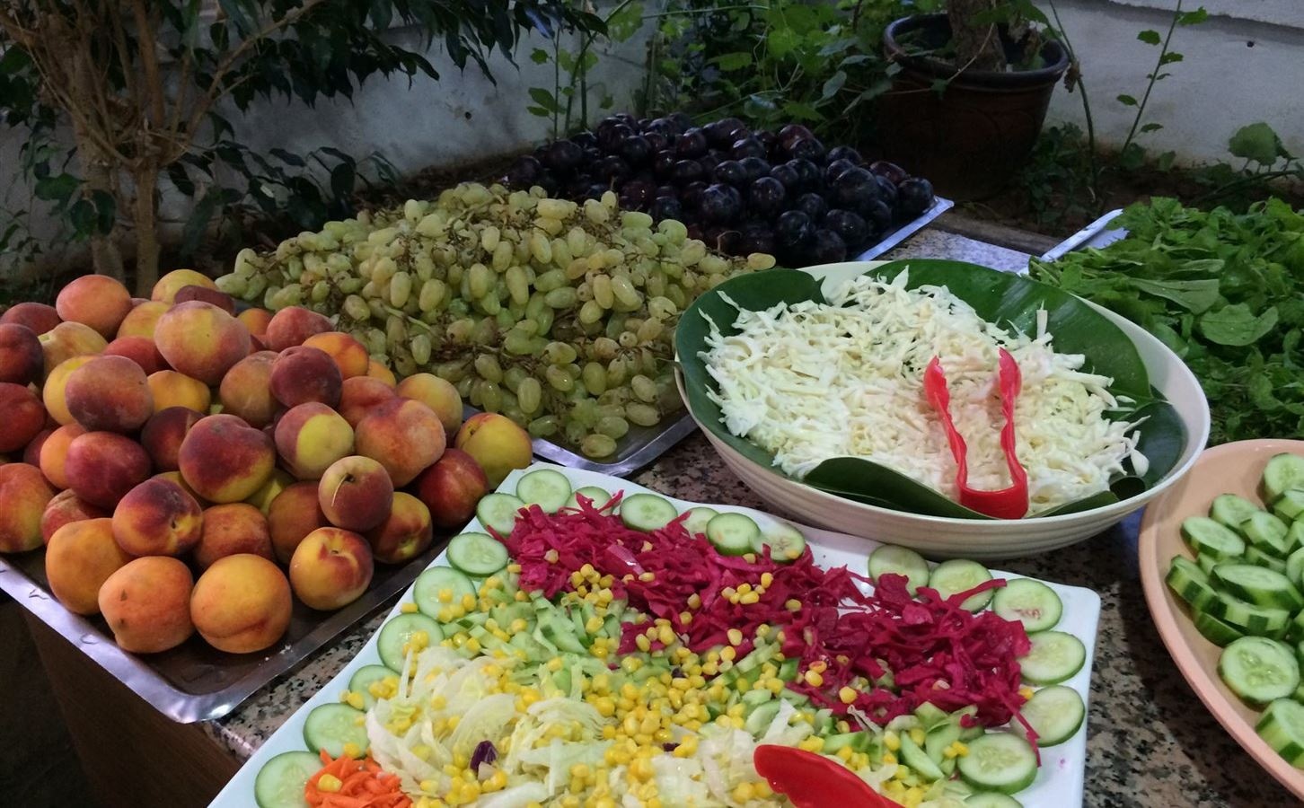 restaurants-main-restaurant