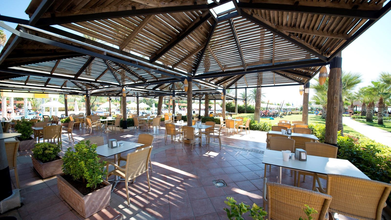 bars-lykia-bar