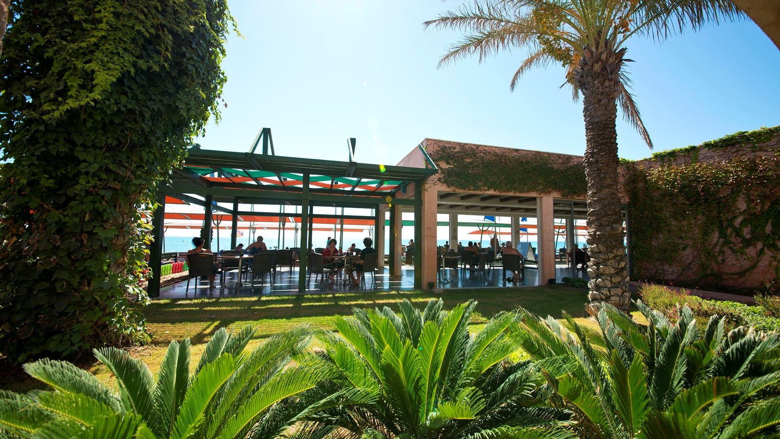 bars-beach-bar