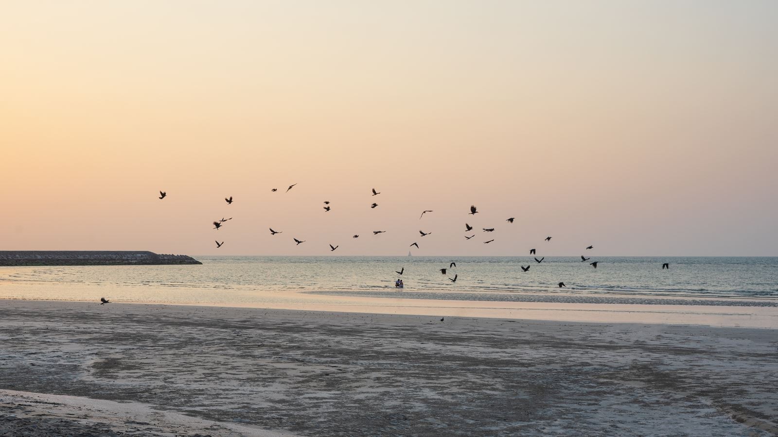 beach-beach