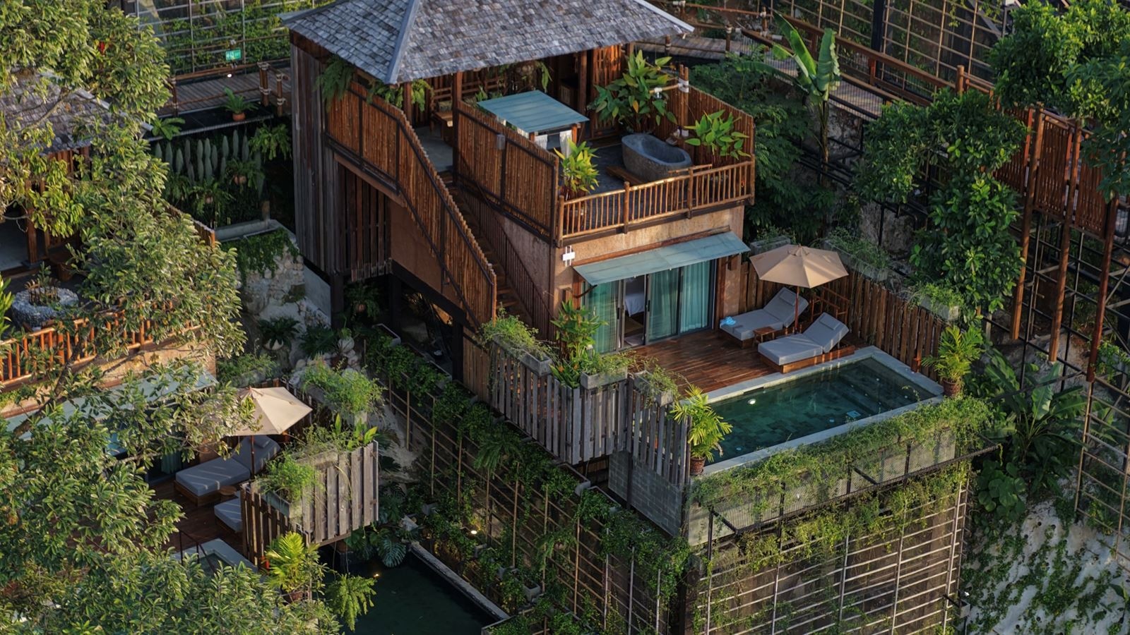 rooms-d-jungle-one-bedroom-pool-villa