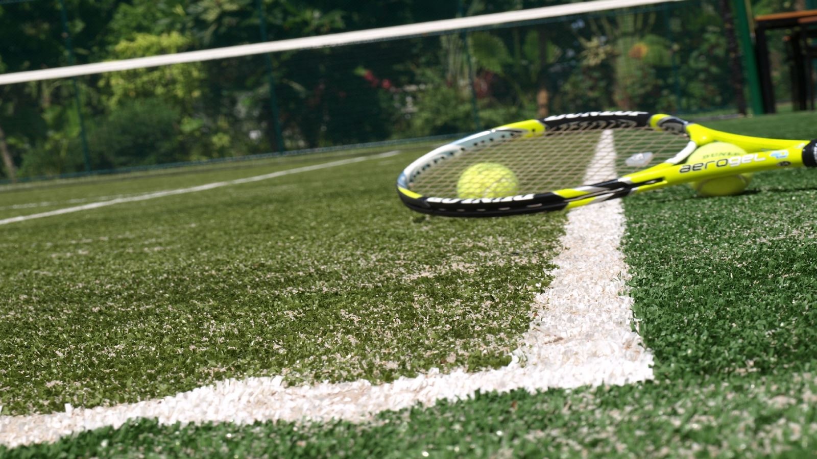 sport-sport